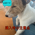 ご購入にあたって    〜必ずお読みください〜