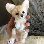 ☆チャーム☆ベイビーフェネック♡
