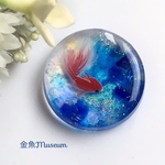 青と虹の金魚