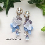No.314 紫陽花と梅雨