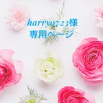 harry0723様専用ページ