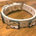 犬の革首輪　首周り約22.5～25に最適（ベルト穴調節範囲22～27）　バイカラー・白革・手縫い・お花・可愛い・オリジナルデザイン・
