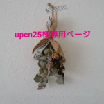 upcn25様専用ページ