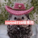 corin0730様ラドンガロンハット