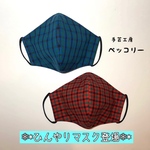 送料無料【LLサイズ】☆接触冷感☆ファミリアチェックの立体【夏マスク】