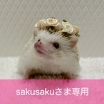 ミニバラの花かんむり（ホワイト）