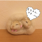 どこでも羊毛ハムスター☆ロボロフスキー兄弟