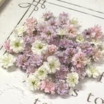 小さめ　かすみ草　ドライフラワー　purple pink gradation