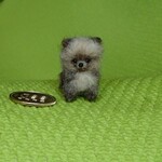 ちびちびポメラニアン オレンジセーブル パピー 羊毛フェルト