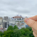 あじ