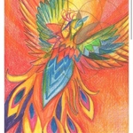 鳳凰　原画　divine geometry with animals8