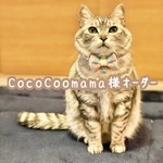 ♡CocoCoomama様♡
