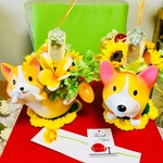 アマビエ様お願い😃ひまわりライトコーギーちゃん🌻🐶