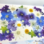 ♡new♡  ♡可愛い押し花セット♡ ♡使いやすい少量の押し花セット♡