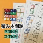 積み木問題 知育玩具