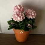 紫陽花  10 粘土の花鉢  ミニチュア