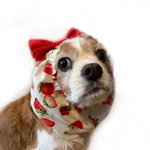 リボン付き★苺ミルク🍓犬スヌード