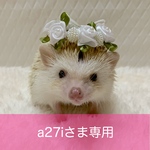 ミニバラの花かんむり（ホワイト）