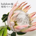 halulom様 専用ページ