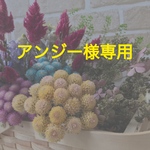 アンジー様専用ページ