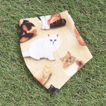 夏向け　USAコットン×ガーゼ  立体マスク　キッズ　大人用　猫　ねこ