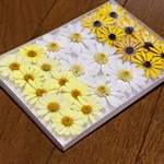 お花屋さんが作った可愛いマーガレットのお詰め合わせ