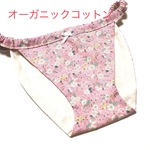 オーガニックコットン　ふんどしパンツ　ペールピンク