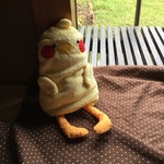 もふもふクッションオカメインコさん013