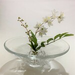 水鉢 C