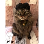 再入荷！迷彩柄バンダナ、マスク、猫ちゃんの首輪