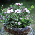 ピンク系のお花でフワフワギャザリング寄せ植え