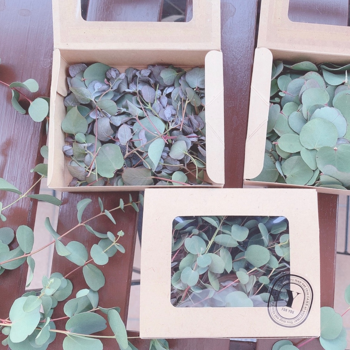 結婚式のリーフシャワーにも✨ユーカリ花材Box - Atelier.y＊うちこ