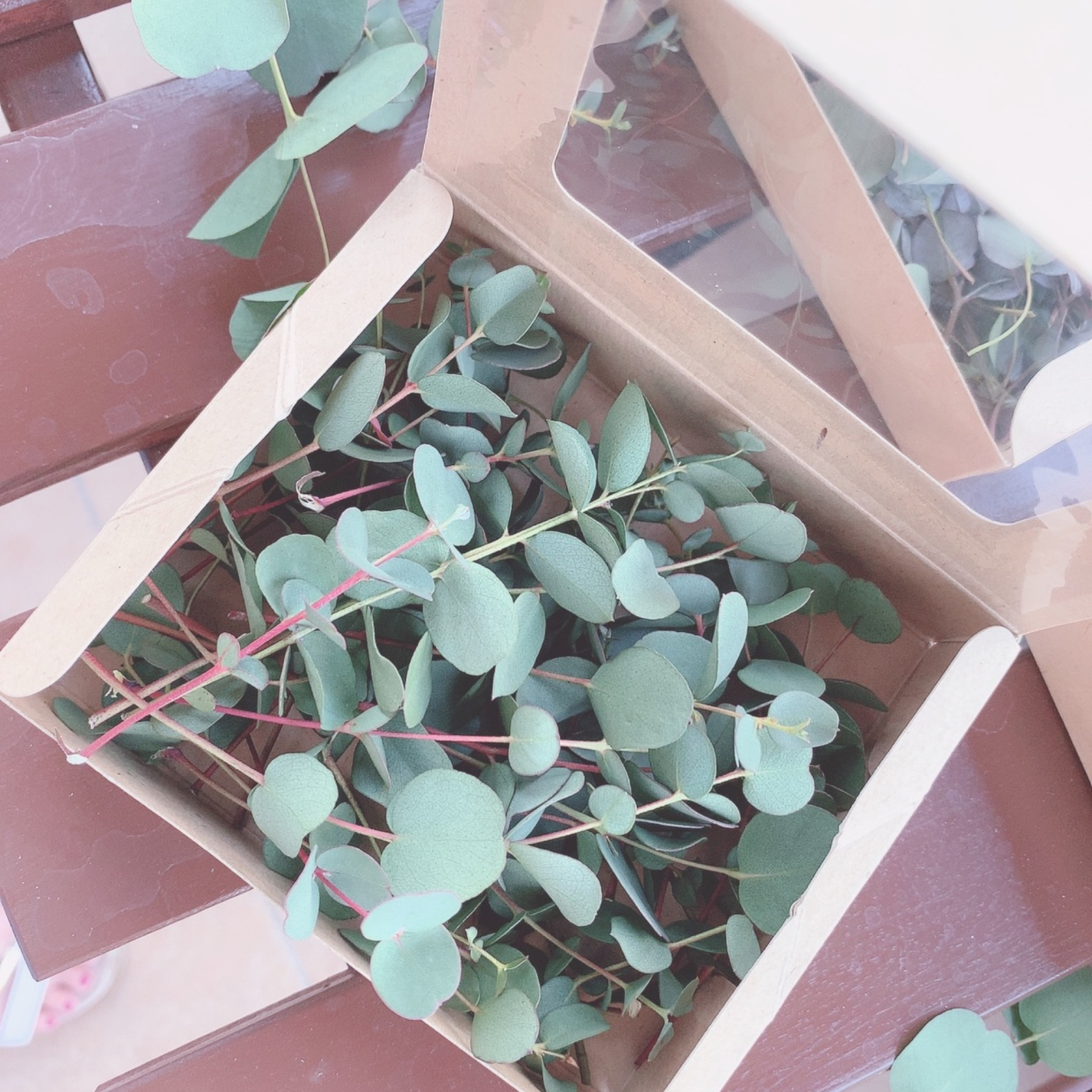 結婚式のリーフシャワーにも✨ユーカリ花材Box - Atelier.y＊うちこ