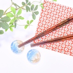 海の箸置き𓇼𓆡𓆉 ⋆