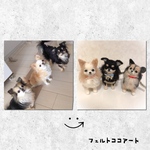 【mikumi525様】専用ページ
