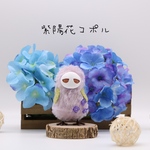 紫陽花コポル(Hydrangea copolu) D