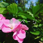 専用ページ
