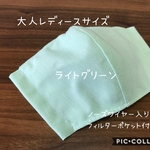 【受注製作☆送料無料】立体マスク 大人用 レディースサイズ 無地 ライトグリーン ノーズワイヤー入り