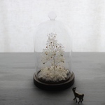 箱庭ガラスドーム　My little tree №1