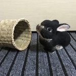 うさぎ 羊毛フェルト ネザーランドドワーフ ブラックオター