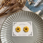 アシメのひまわり🌻