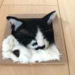 vanillaさま専用ページ　うとうと猫ちゃんミニフレーム