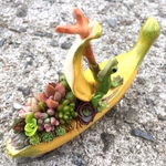 かえるくんのバナナ遊びと多肉植物