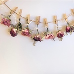 ドライフラワー薔薇ミニガーランド