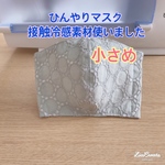  [送料無料]  ひんやりマスク　サークルレース　ミントグリーン　小さめ