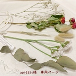 ＊ppt265s様　専用ページ＊