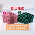 ☆即日発送☆鬼滅柄立体マスク[小学校高学年サイズ]