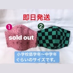 ☆即日発送☆鬼滅柄立体マスク[小学校低学年サイズ]