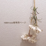 robin1222様専用ページ🍓
