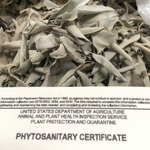 浄化用ホワイトセージ (10g)
